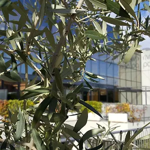 Aparthotel Riviera Palace, Loano
